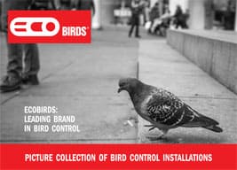 BUDDYSUN® - Barriera Antivolatili per Pannelli Solari - Bird Barrier for Solar Panels
